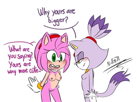 Rule Amy Rose Blaze The Cat Breasts Dialogue Female Furry Nino