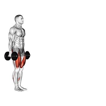 Dumbbell Walking Lunges - Guide, Benefits, and Form