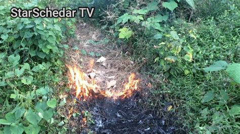 Making A Footpath By Burning The Grasses Out Of It Off Grid Living Ep 14 Starschedartv Youtube