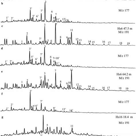 Representative Mass Chromatograms Of M Z 191 And M Z 177 Illustrating