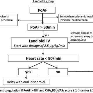 Landiolol Group Algorithm IV Intravenous PoAF Postoperative Atrial