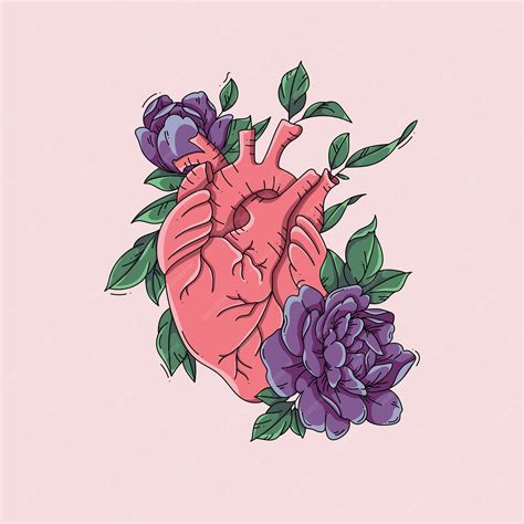 Premium Vector Illustration Anatomical Heart With Flowers