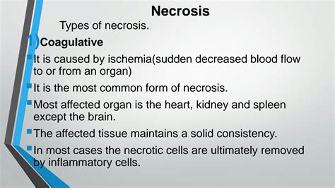 SOLUTION: Mechanisms of cell death - Studypool