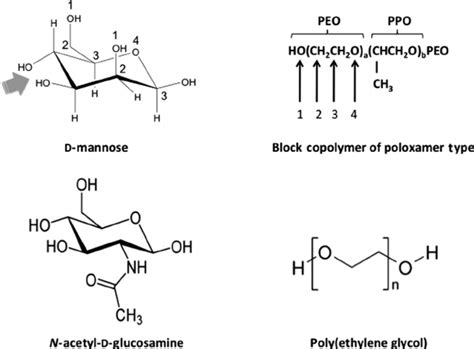 Structural Similarities Between D Mannose N Acetyl D Glucosamine And