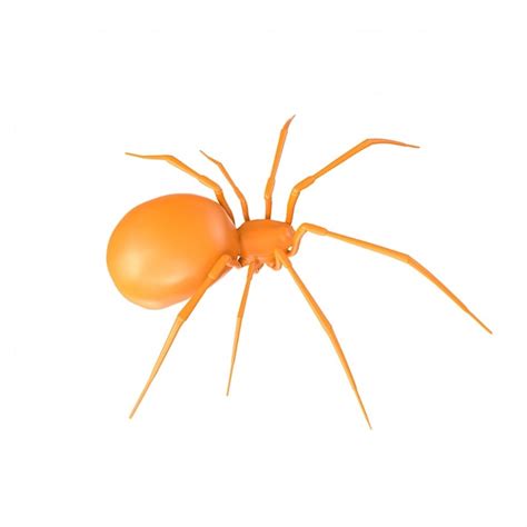 Una araña naranja con una cola larga y un fondo blanco Foto Premium