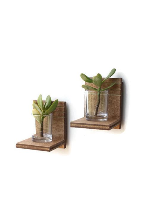 Succulent Wall Planter Floating Shelves Succulent Planter Etsy