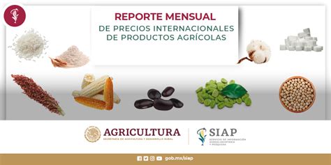 Reporte Mensual De Precios Internacionales De Productos Agr Colas