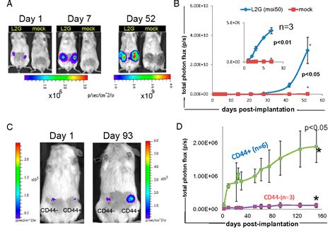 Figure From Cancer Stem Cells From Human Breast Tumors Are Involved