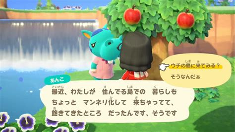 【あつまれどうぶつの森】売地に住民が引っ越してくる条件と日数【あつ森】 攻略大百科