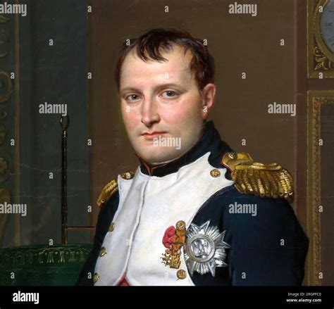 Napoleon Bonaparte The Emperor Napoleon In His Study At The