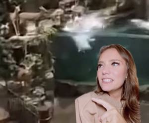 Leeds Bass Pro Shop Video Man Jumps In Water Naked