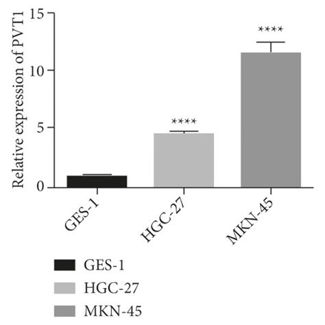 Pvt Is Upregulated In Gc Tissues And Cells A B The Expression Of