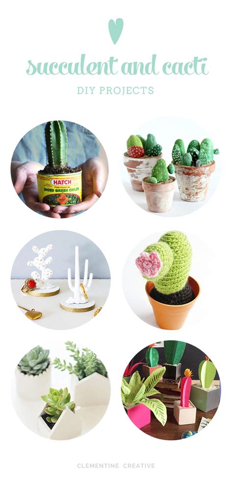 6 Succulent And Cacti Diy Projects