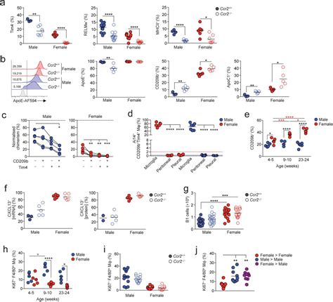 Origin And Microenvironment Contribute To The Sexually Dimorphic