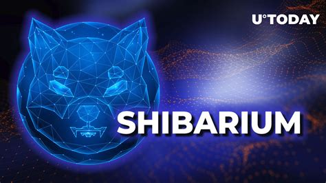 Shiba Inu Heres Latest Update On Shibarium Beta Testnet