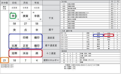 四柱推命鑑定師に向いている星 四柱推命 鑑定師養成講座（占い講師の書）