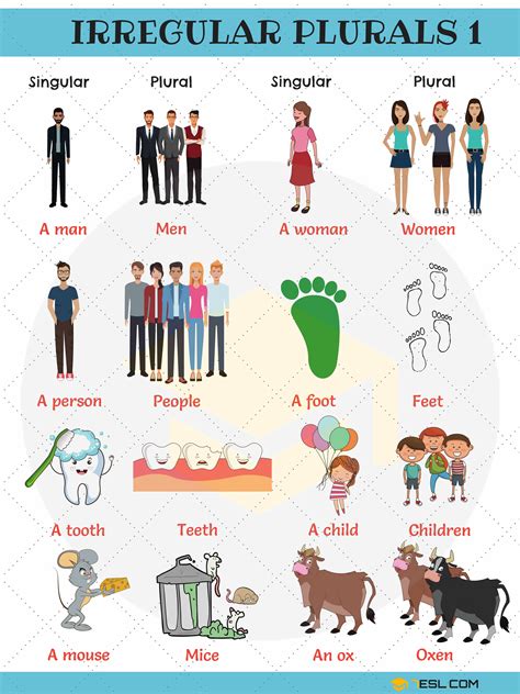 Irregular Plural Nouns Examples Sentences