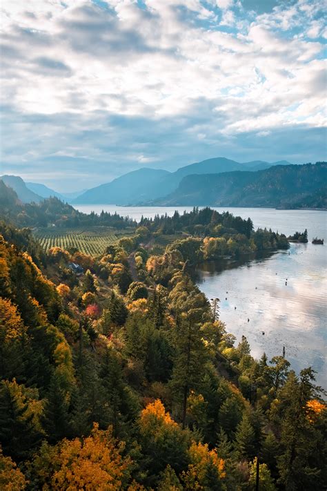 Autumn In The Columbia River Gorge : r/oregon