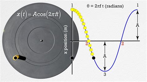 Simple Harmonic Motion(SHM) - Position Equation Derivation - YouTube