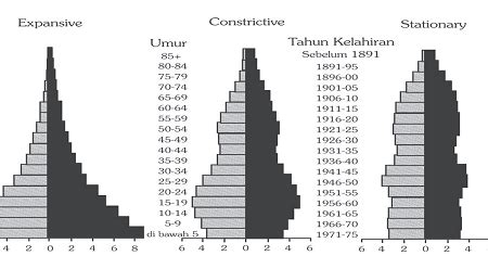 3 Bentuk Piramida Penduduk: Expansive, Stasioner, & Constructive ~ IPS ...