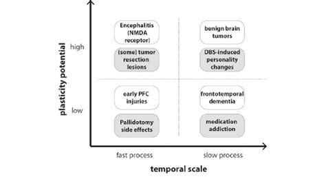 Examples Of Pathological Processes Or Interventions Side Effects