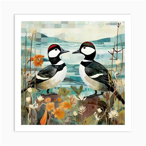 Bird In Nature Bufflehead 2 Art Print By Feathered Muse Fy