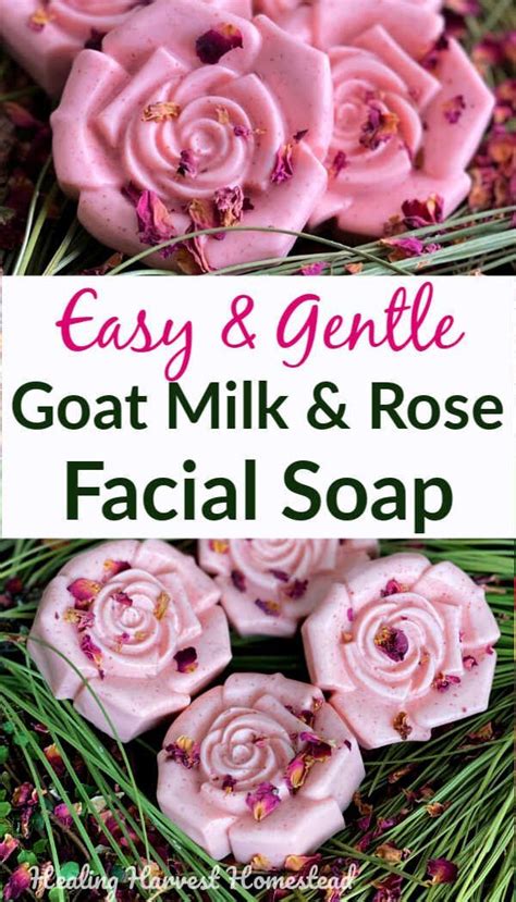 Rose And Goat Milk Facial Soap Recipe An Easy Moisturizing Melt And