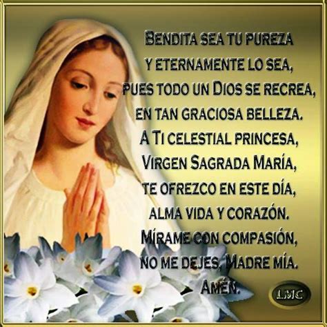 Oraciones Para Ti Y Para M A Ti Celestial Princesa Virgen