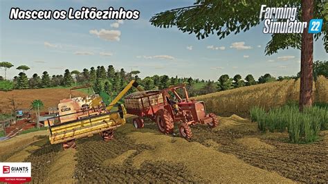 O Trigo Ficou Pronto Pra Colheita Farming Simulator Est Ncia Ponte