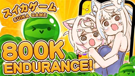 ぶいらび 【suika Game スイカゲーム】punishment Until 800k 🍉🐾 【80万耐久 Vertical 縦型