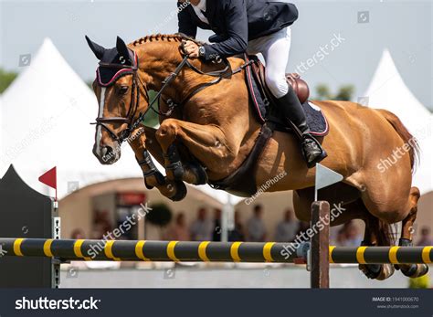 Professional Horse Jumping Photography