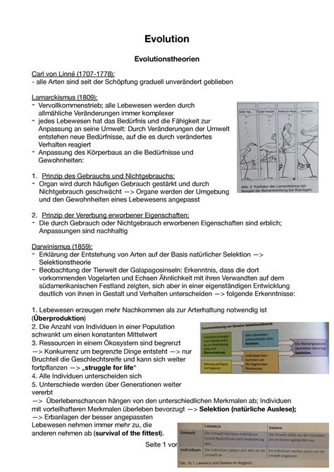 Biologie Evolution Evolution Evolutionstheorien Carl von Linné 1707