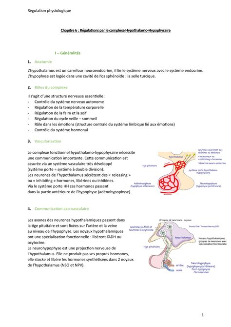 R Gulations Par Le Complexe Hh Chapitre R Gulaions Par Le