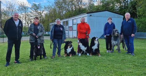 Marmoutier L association d éducation canine pour une cohabitation