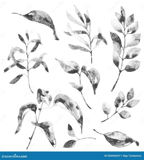 Artistic Drawing of Plants Set Stock Illustration - Illustration of