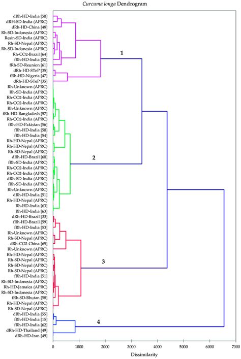 Dendrogram Obtained From The Agglomerative Hierarchical Cluster