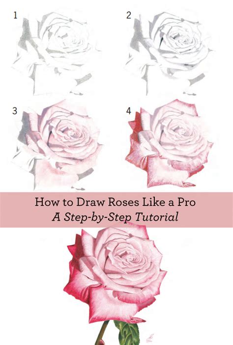 Flower Sketch Tutorial at PaintingValley.com | Explore collection of Flower Sketch Tutorial