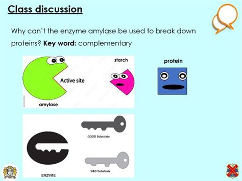 Aqa Gcse Lock And Key Theory For Enzymes Teaching Resources