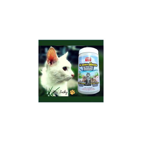 ALL-NATURAL Cat Urine Odor Eliminator Removes, NOT MASKS – Pee Urine ...