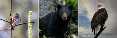 preserve yakona nature preserve learning center