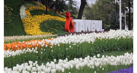 İstanbul Tulip Festival