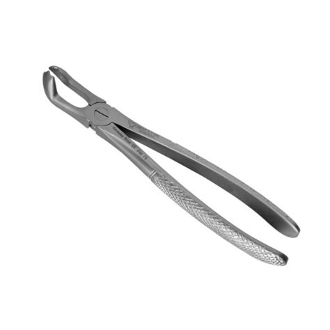 Buy Lower Third Molar Forceps Bionexmed Dental Equipment