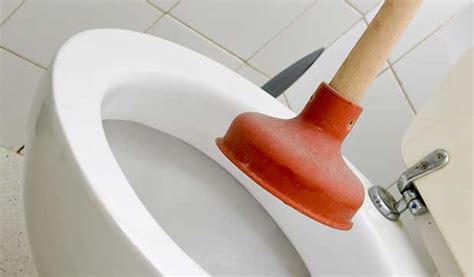 Toilet Repair Services - SLS Plumbers