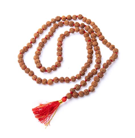 Certified Mukhi Bead Mala Genuine Rudraksha Natural Mala Face