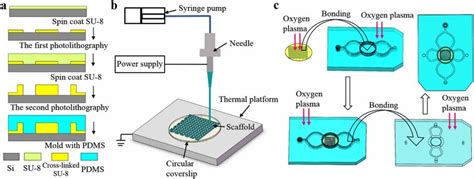 Schematic Of Fabrication Processes Of The Microfluidic Device A