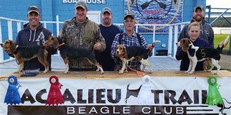 Baccalieu Beagle Club September 28 29 2019 Canadian Beagler