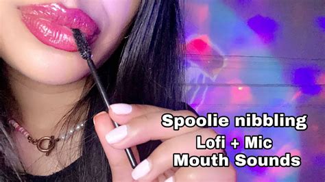 ASMR Tingly Spoolie Nibbling Lofi Mic Mouth Sounds Hand