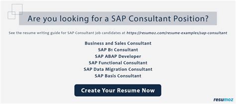 Sap Consultant Resume Example For Tips Template