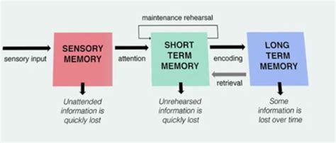 41 Perception And Attention Introduction To Psychology