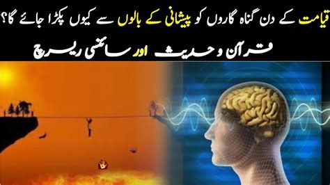 Medical Science Proved Another Miracle Of Quran Science And Quran